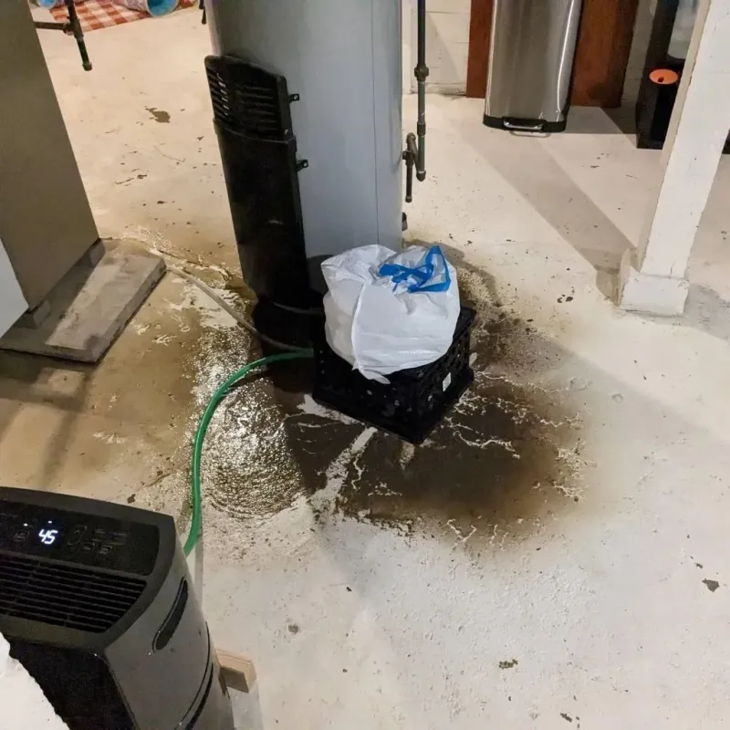 Sewage Backup Cleanup Service in Bridgeport, PA